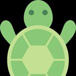 Profile Picture of Ruth Buchanan (@turtlesaresmoothcriminalz) on Instagram