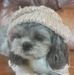 Profile Picture of Kim Clear (Kim clear) (@kim.wyatt.94849) on Facebook