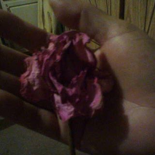 Profile Picture of Luz Gurrola (@luz.gurrola.77) on Facebook