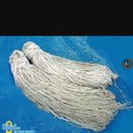 Profile Picture of DARGOS AMERICANU (@dargosamericanu) on Instagram