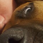 Profile Picture of Claire Davis (@cclaire.daviss) on Instagram