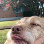 Timothy J. Kowalski - Instagram Profile Picture of Timothy J. Kowalski (@peeping__tim) on Instagram