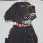 Profile Picture of Steve Shimp (@steven.shimp.5) on Instagram