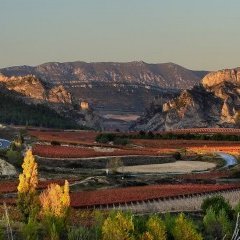 Profile Picture of Grimnir88 (@Stephen_Haro) on Twitter