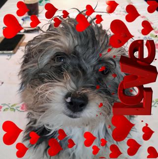 Cristina Loury - Facebook Profile Picture of Cristina Loury (@cristina.loury.5) on Facebook