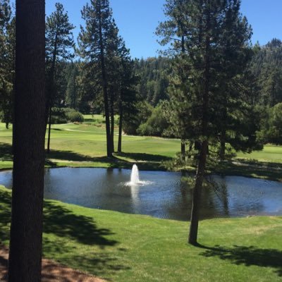 Profile Picture of Mike Maluccio (@rdmaluch) on Twitter