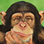 Profile Picture of Mayank Upadhyay (@mayank upadhyay) on Flickr