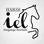 Profile Picture of Daniel Teixeira Haras Iel (@haras_iel) on Instagram