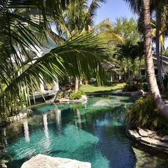 Profile Picture of Mark Schmelz (@mark.schmelz) on Tiktok