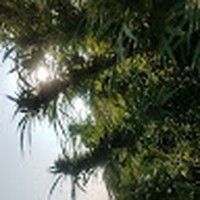 Profile Picture of John Egerer (@john-egerer-6) on Quora