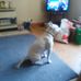 Profile Picture of Richard McDowall (@richard.mcdowall.3) on Facebook
