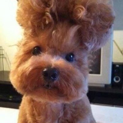 Profile Picture of Sabrina Nicholas (@chloeee1128) on Twitter