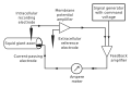 Profile Picture of Voltage clamp - Wikipediaon Wikipedia