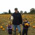 Profile Picture of Ian Galbraith (@Ian-Galbraith) on Facebook