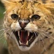 Profile Picture of Bob McIntosh (@mcintoshrd) on Youtube