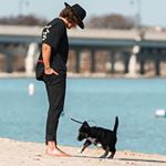 Profile Picture of Travis Frey (@travifrey) on Instagram