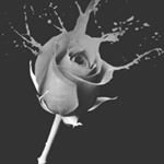 Profile Picture of sean beller (@xxsean_bxx) on Instagram