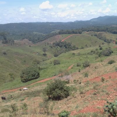 Profile Picture of Nestor Guillermo Ospina Ramírez (@NestorG07012429) on Twitter