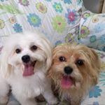 Profile Picture of Javier Giraldo (@javiergiraldo2169) on Instagram