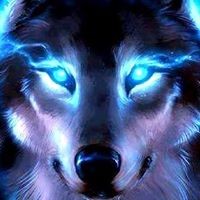 Profile Picture of Jack Matty (@jack-matty-1) on Quora