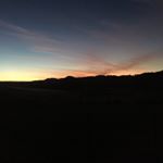 Profile Picture of Abby Moses (@abby__moses) on Instagram