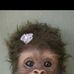 Profile Picture of Herbert Krause (@Herbert-Krause) on Facebook
