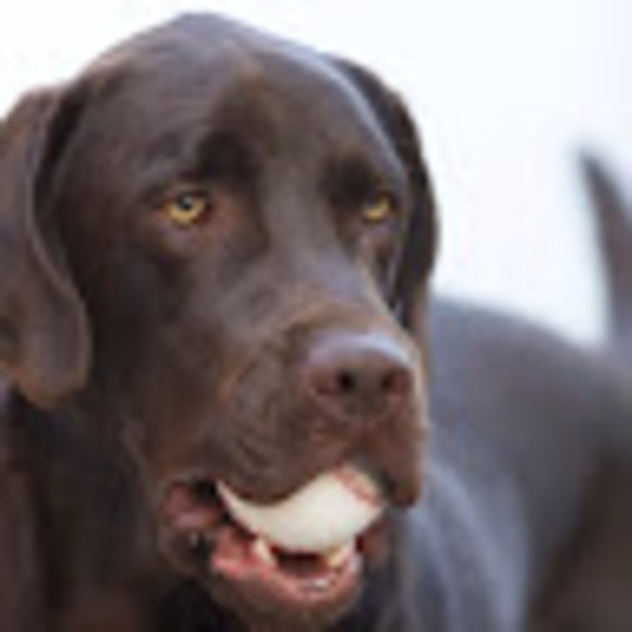 Profile Picture of Gregory Moreno (@myarima22) on Poshmark