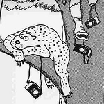 Profile Picture of Dmitri Bender (@reasonable excuse) on Flickr