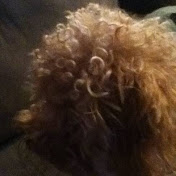 Profile Picture of Joseph Toth (@Wiley1999Dog) on Youtube