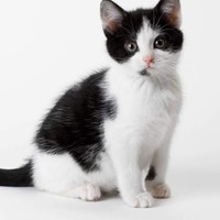 Profile Picture of Chloe Ewing (@chloe-ewing-7) on Quora