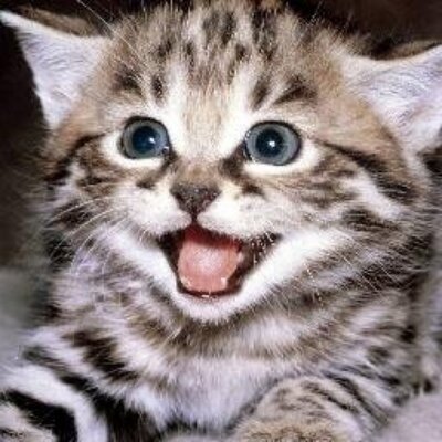 Profile Picture of Tyler Bloomer (@itsBloomer) on Twitter
