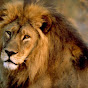 Profile Picture of Frank King (@@francoamerican111) on Tiktok