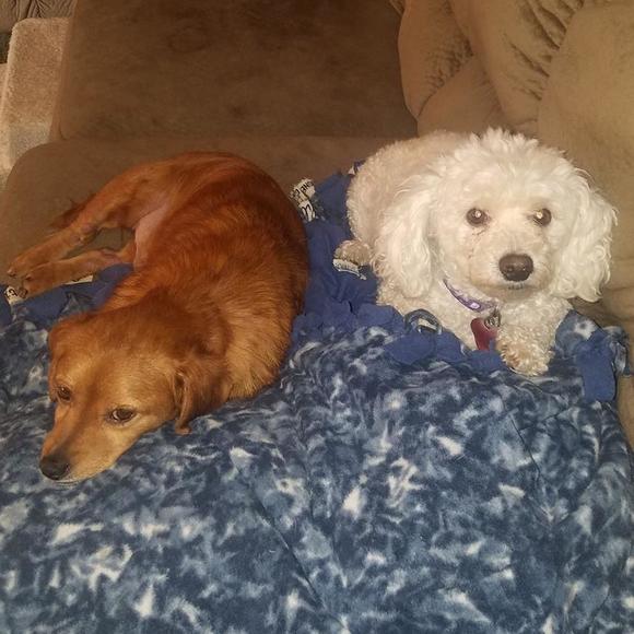 Profile Picture of Kathy Husick (@k_husick) on Poshmark