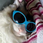 Profile Picture of Brian Bell (@brian.turbo) on Instagram