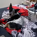 Profile Picture of Jason Cole (@jason.cole.757537) on Facebook