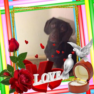 Profile Picture of Jean Wareham (@jean.wareham.75) on Facebook