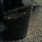 Profile Picture of Chris Bettis (@chrisscy) on Instagram