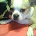 Profile Picture of Java Johnson (@java.johnson.94) on Facebook