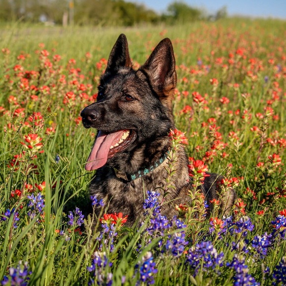 Profile Picture of Jordyn Nichols (@jonick) on Poshmark