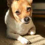 Profile Picture of Lady Belle Scott (@therealladybelle) on Instagram