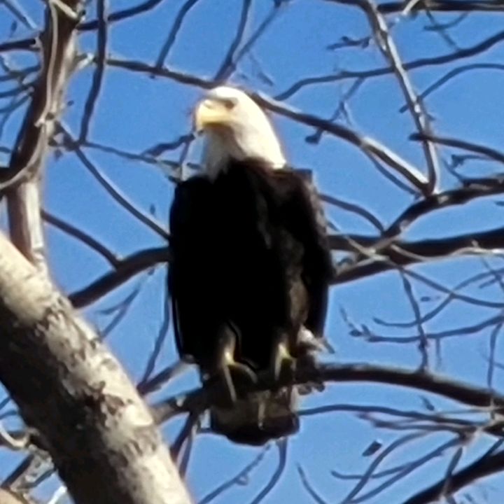 Profile Picture of Robert Mace (@@robertmace6) on Tiktok