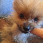 Profile Picture of Jeff Spitz (@jeff.spitz) on Instagram