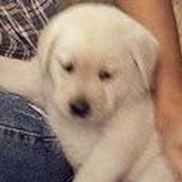 Profile Picture of Gishta Rb (@gishta-rb) on Quora