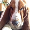 Profile Picture of Bianca Snow (@@fenny02) on Tiktok