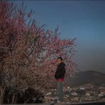 Profile Picture of Kong Khang (@Kong-Khang) on Facebook