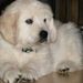 Profile Picture of Kim Throndson Haack (@kmhaack) on Pinterest