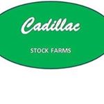 Profile Picture of Robert Perratt (@robert__perratt_) on Instagram