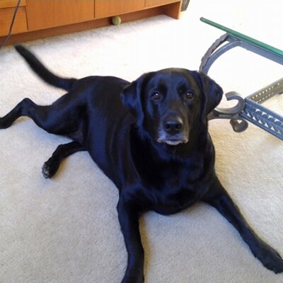 Profile Picture of Jerry Handl (@HandlJerry) on Twitter