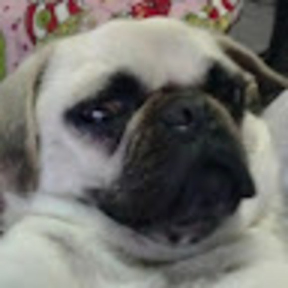 Profile Picture of Jonathan Arambula (@jonathanaram950) on Poshmark