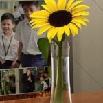 Profile Picture of Woon Sum Lam (@woon_sum_lam) on Instagram